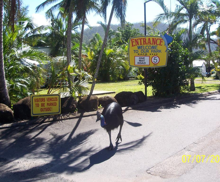 מלון איניספייל Flying Fish Point Tourist Park מראה חיצוני תמונה