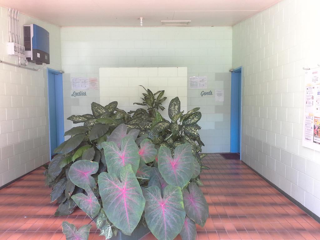 מלון איניספייל Flying Fish Point Tourist Park מראה חיצוני תמונה